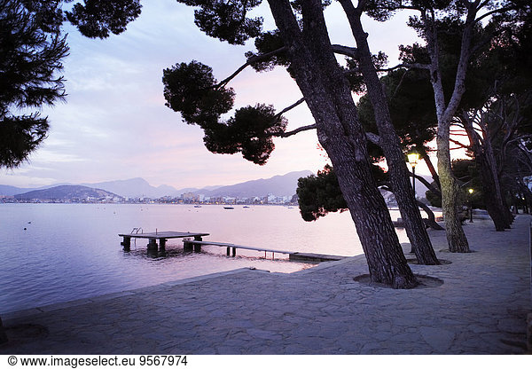 View of huge trees and empty jetty in bay with mountains in background