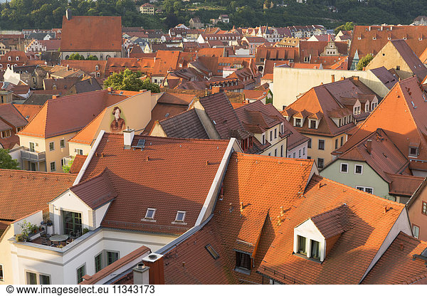 View of Meissen  Saxony  Germany  Europe