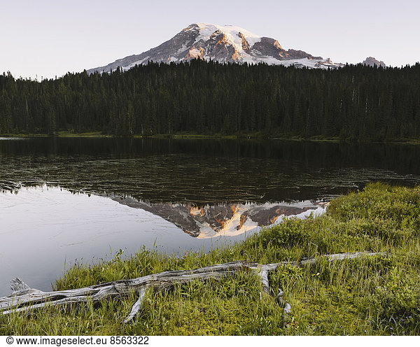 View of Mount Rainier from Reflection Lakes at dawn in Mount Rainier national park.