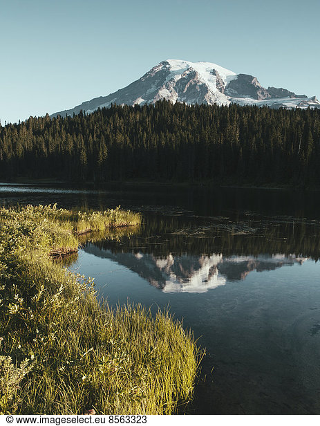 View of Mount Rainier from Reflection Lakes at dawn in Mount Rainier national park.