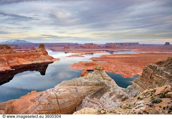 View of Padre Bay and Lake Powell from Alstrom Point  Glen Canyon National Recreation Area Utah