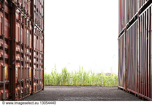 View of plants by cargo containers at commercial dock