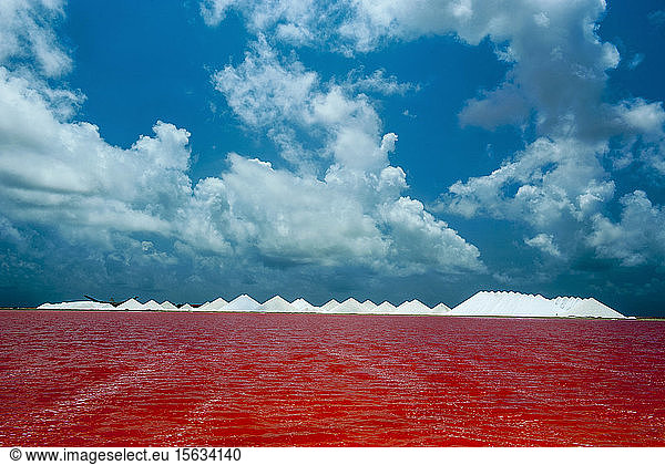 View of red salt lake against cloudy blue sky  Bonaire  Caribbean Netherlands