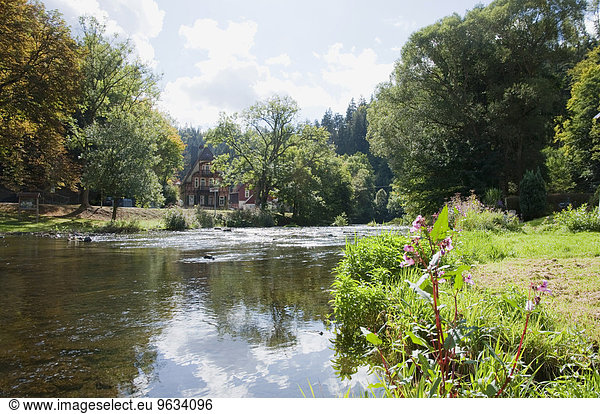 View of River Bode Treseburg in background