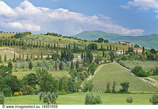 View of rolling green landscape  Tuscany  Italy