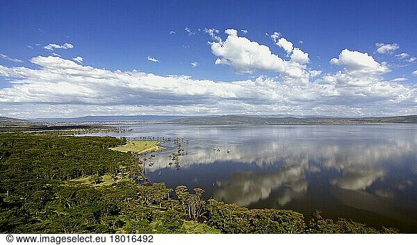 View of soda lake habitat  Lake Nakuru  Lake Nakuru N. P. Great Rift Valley  Kenya  Africa