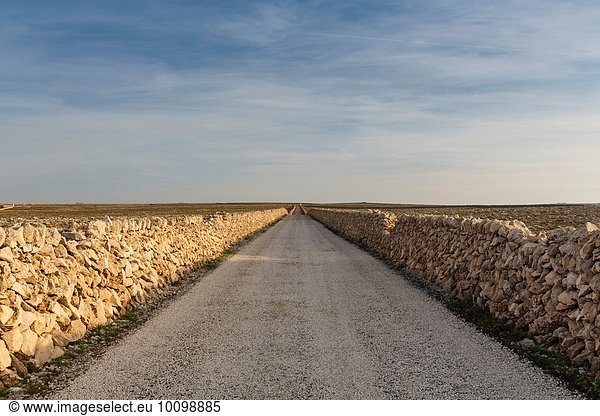 View of straight rural road between dry stone walls  Menorca  Spain