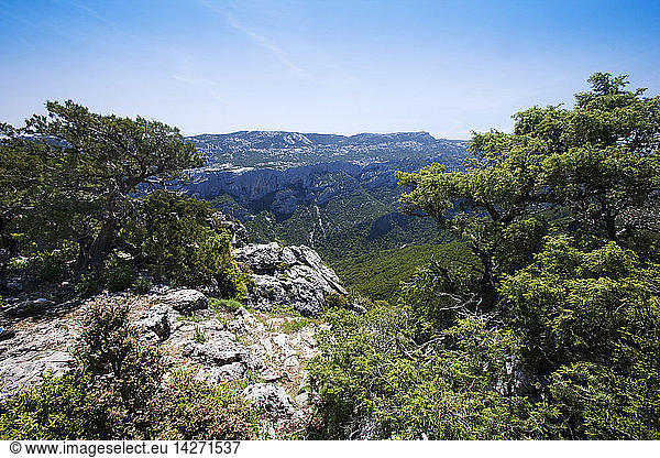 View of the area named ''codula of cala di Luna'' near Urzulei  Urzulei  Gennargentu and Orosei Gulf National Park  Sardinia  Italy  Europe