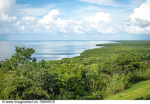 view of the bay of Campeche Mexico and the green forest