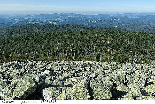 View of the Block Sea and the forest from the Lusen  Bavarian Forest National Park  Bavaria  Germany  Europe
