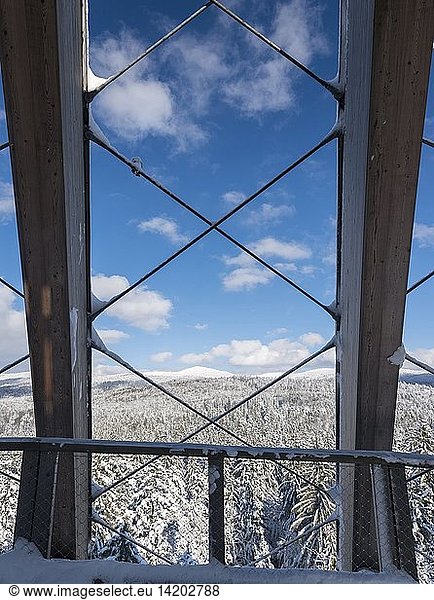 View of the mountains of the National Park Bavarian Forest (Bayerischer Wald) in the deep of winter. Seen from the viewing plattform of the Canopy Walkway in Neuschoenau. Europe  Germany  Bavaria  January