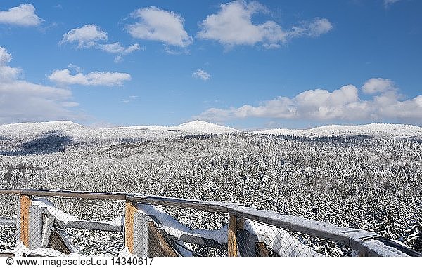 View of the mountains of the National Park Bavarian Forest (Bayerischer Wald) in the deep of winter. Seen from the viewing plattform of the Canopy Walkway in Neuschoenau. Europe  Germany  Bavaria  January