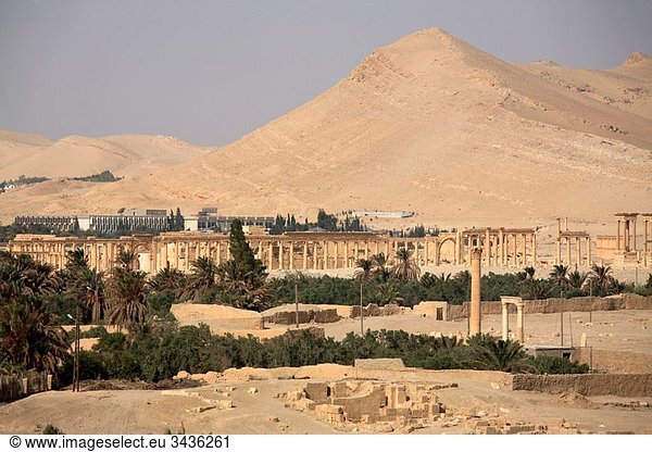View of the ruins of Palmyra, Syria