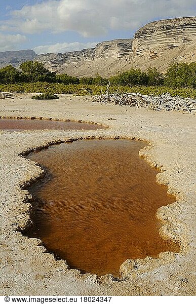 View of the salt basin habitat on the south coast  Socotra  Yemen  Asia