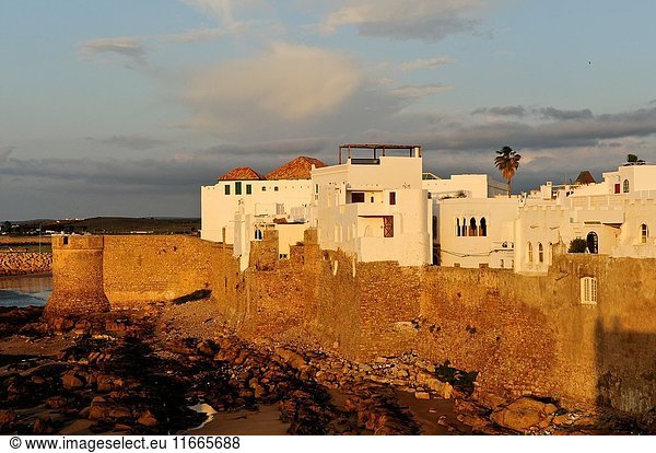 View of the walls of the medina and the Atlantic Coast. Asilah  Morocco  North Africa.