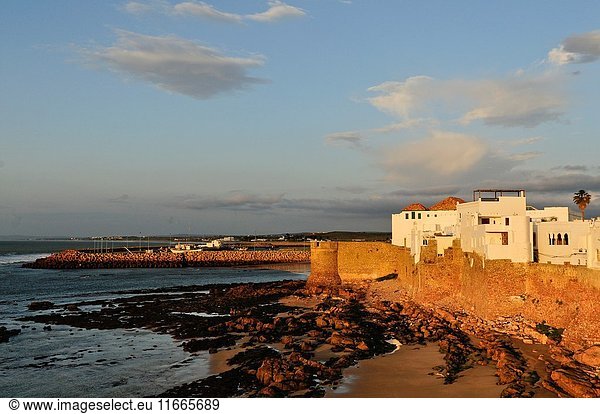View of the walls of the medina and the Atlantic Coast. Asilah  Morocco  North Africa.
