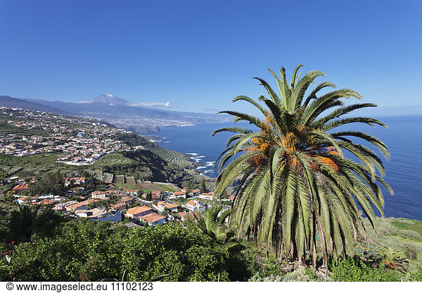 View over Orotava Valley to the north coast and Puerto de la Cruz und den Teide  Tenerife  Canary Islands  Spain  Atlantic  Europe