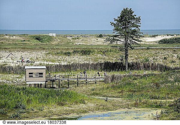 View over the bird hill  Zwin nature park  bird sanctuary near Knokke-Heist  West Flanders  Belgium  Europe