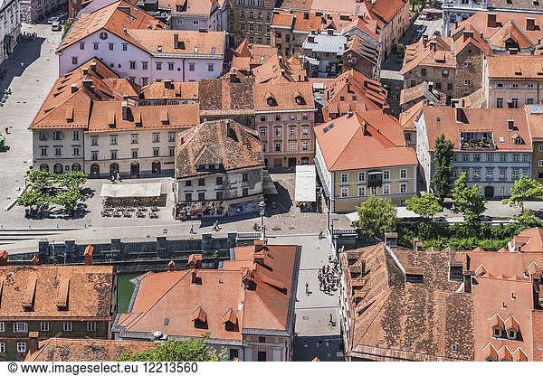 View over the capital Ljubljana to the buildings of the old town and to the shoemakers bridge (Sustarski most). The bridge was built in the 13th century. The now preserved stone bridge was built in 1931 by the architect Joze Plecnik  Ljubljana  Slovenia  Europe.