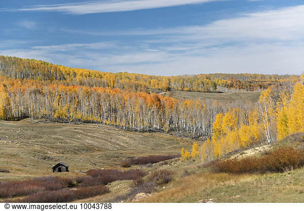 View over the Kolob Terrace and valley in autumn  aspen trees in autumn colours.