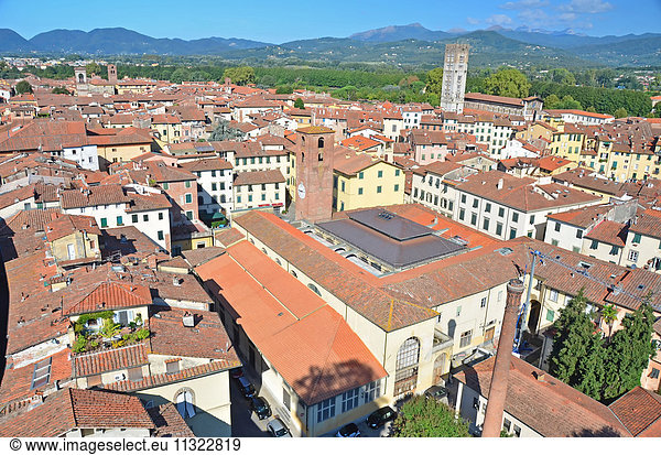 View over the roof tops of the medieval town of Lucca  Italy. In the background the Apennine mountains