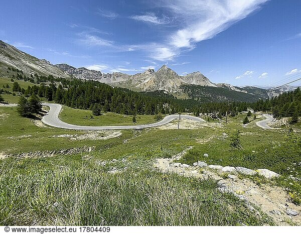View over wild alpine meadow on winding alpine road Mountain road in front of Col de l Izoard  Cottian Alps  Route des Grandes Alpes  Département Hautes-Alpes  France  Europe