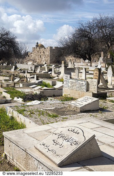 View the Yusufiye Muslim Cemetery along the Eastern Wall of the Old City near Lion's or St Stephen's Gate in East Jerusalem Israel.