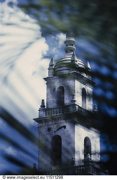 View through palm leaves of the cathedral tower in Merida. Patterns and shadows.
