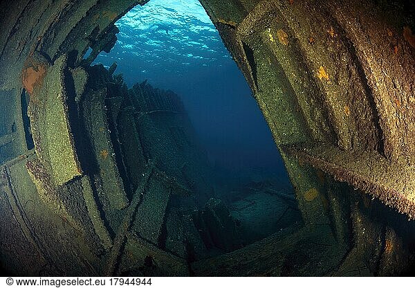 View through rusting hull of rusty shipwreck Elviscot  Mediterranean Sea  Elba  Tuscany  Italy  Europe