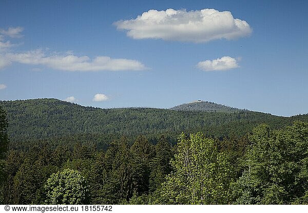 View to the Lusen  Bavarian Forest National Park  Germany  Europe