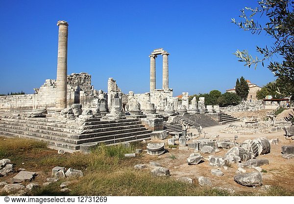 View to the Temple of Apollo at the Archeological area of Didim  Didyma  Aydin Province  Turkey  Europe