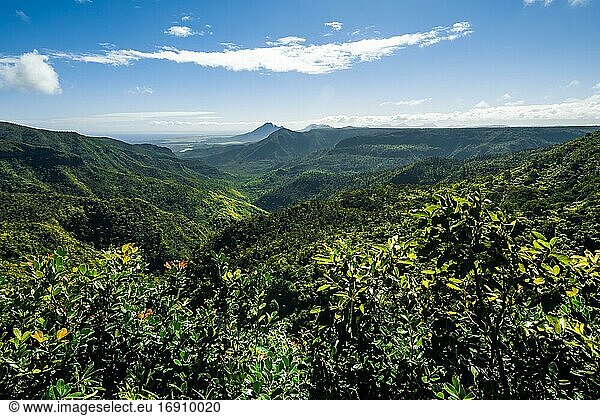 Viewpoint  view over forested mountain landscape  Black River National Park  Mauritius  Africa
