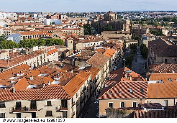 Views of Salamanca from the Clerecia towers  highlighting the Convent of San Esteban. Salamanca  Castilla y Leon  Spain  Europe.