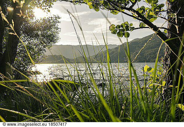 Views of the popular lake of Sanabria at sunset during the summer