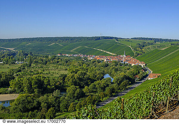 Village and vineyards
