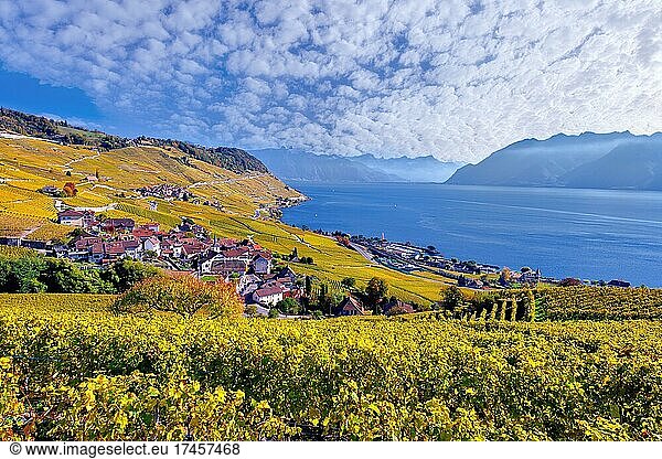 Village view of Riex with autumn-coloured vineyards  view of Lavaux and Lake Geneva  UNESCO World Heritage Site  Canton Vaud  Switzerland  Europe