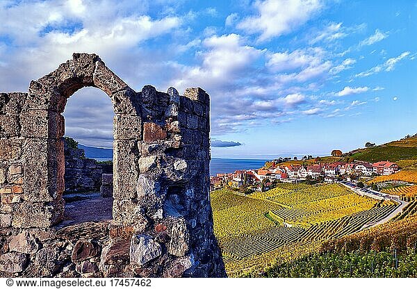 Village view of Rivaz with autumn-coloured vineyards  Lavaux UNESCO World Heritage Site  Canton Vaud  Switzerland  Europe