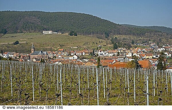 Village view of St. Martin  Southern Palatinate  Palatinate  Rhineland-Palatinate  Germany  Europe
