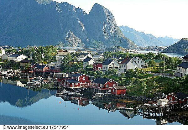 Village view  Reinefjord with mountains and red wooden houses  Rorbuer  Reine  Moskenesöy  Lofoten  Nordland  Norway  Europe