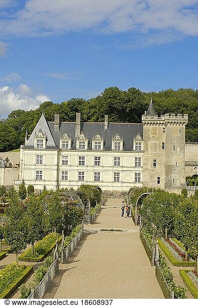 Villandry Castle and Castle Garden  Chateau de  Indre-et-Loire  Loire Valley  Centre  France  Europe
