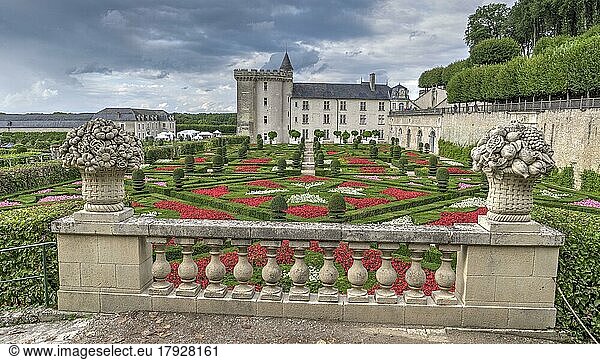 Villandry Castle and ornamental garden with flowers and geometric box hedges  UNESCO World Heritage Site  Villandry  Indre et Loire  France  Europe