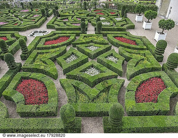 Villandry Castle and ornamental garden with flowers and geometric box hedges  UNESCO World Heritage Site  Villandry  Indre et Loire  France  Europe