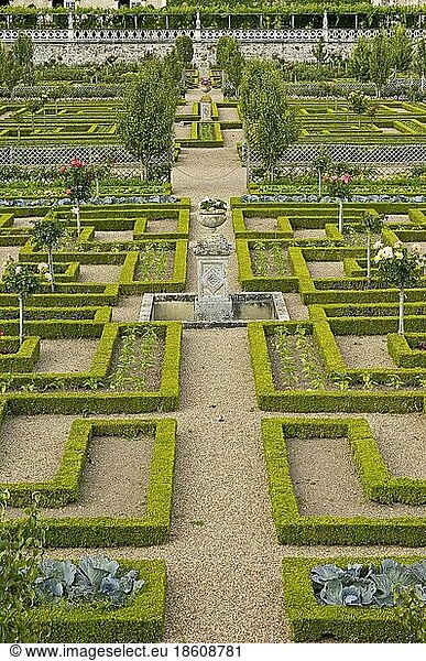 Villandry Castle Garden  Chateau de  Castle Garden  Indre-et-Loire  Loire Valley  Centre  France  Europe