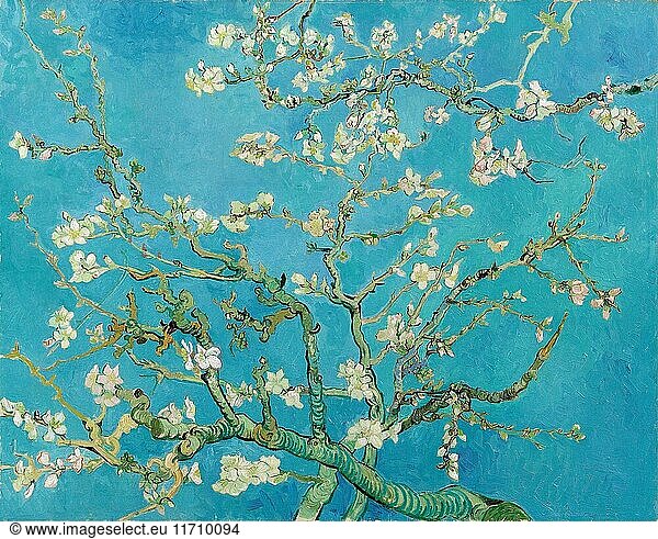 Vincent van Gogh - Almond blossom - Van Gogh Museum  Amsterdam.