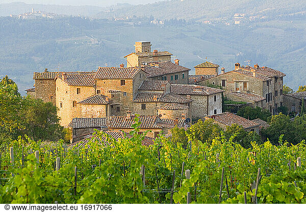 Vineyard and the medieval village of Volpaia in Tuscany  near Florence in Chianti Italy
