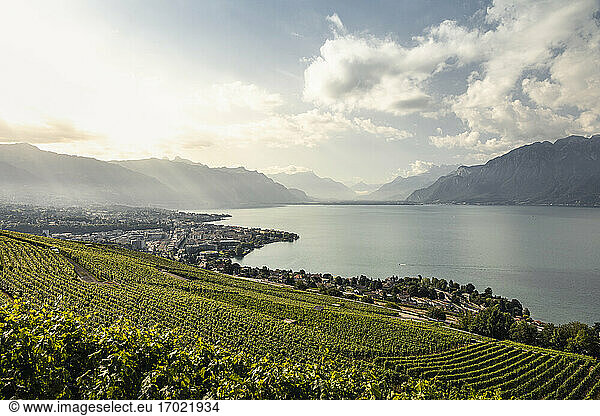 Vineyards and town on lakeshore with mountains in distance