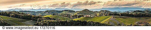 Vineyards panorama in South Styria  beginning of autumn  Gamliz  Austria  Europe