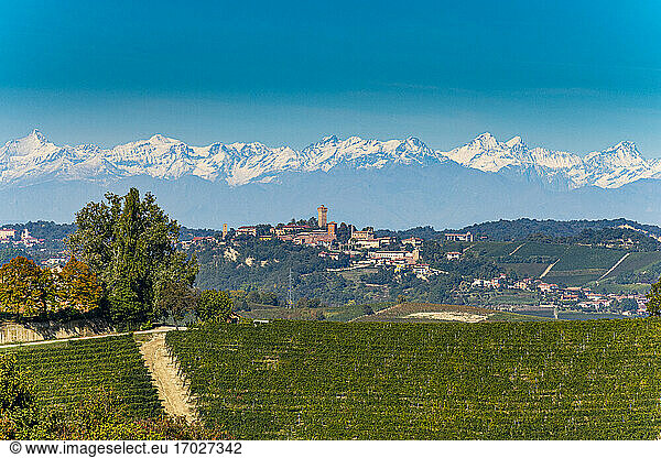 Vineyards with the Alps behind  Barolo wine region  UNESCO World Heritage Site  Piedmont  Italy  Europe