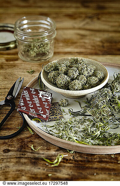 vintage looking still life of untrimmed cannabis in bowl with scissors