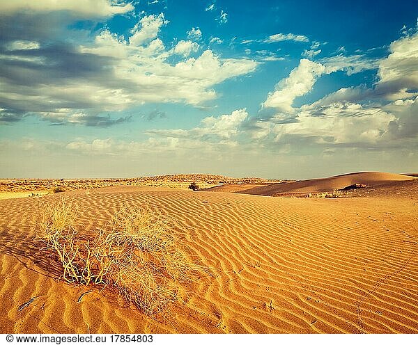 Vintage Retro-Effekt gefiltert Hipster-Stil Bild der Dünen der Wüste Thar. Sam Sanddünen  Rajasthan  Indien  Asien